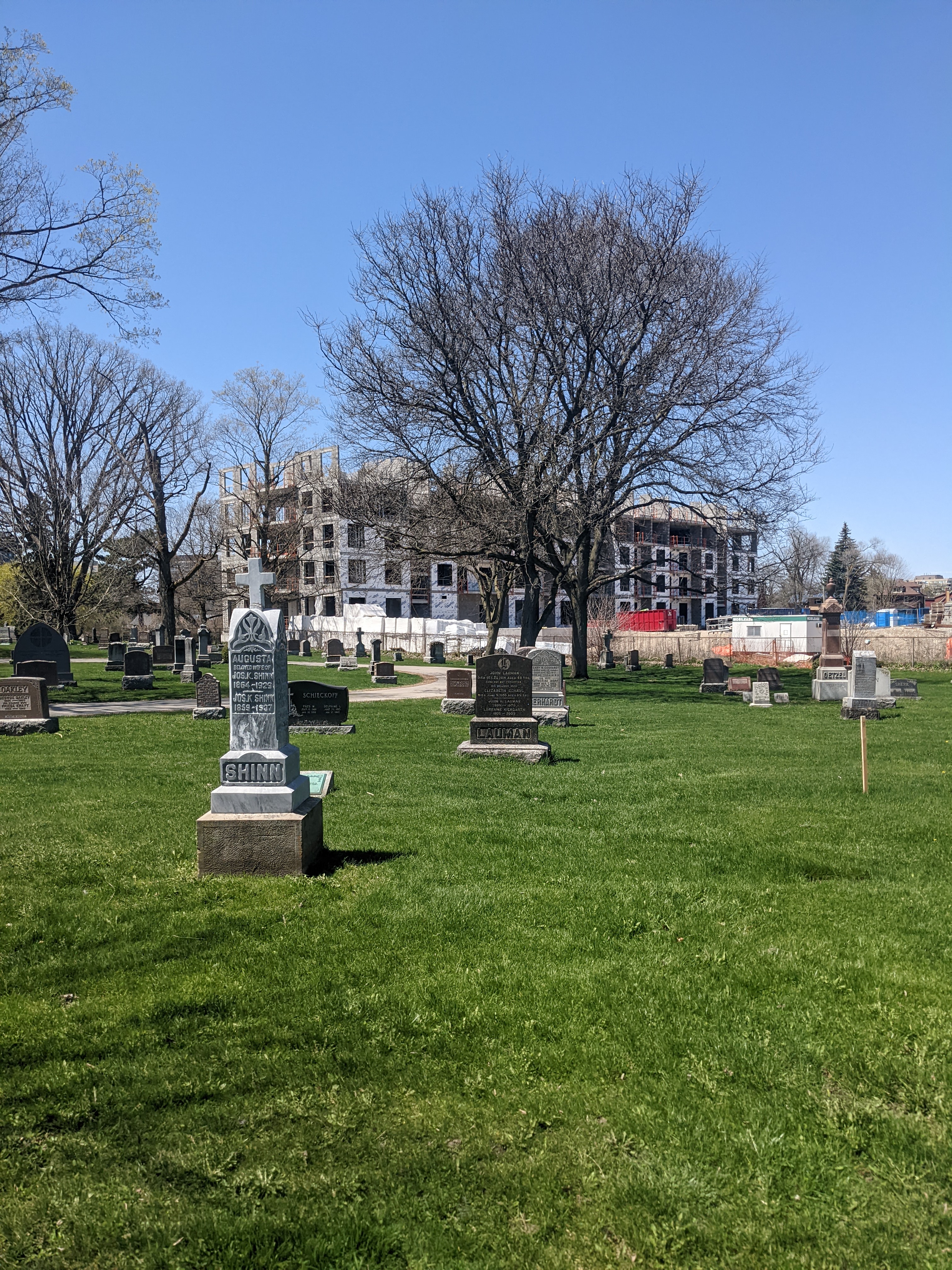 [Image: Spurline_Common_2022_05_07_1.jpg]